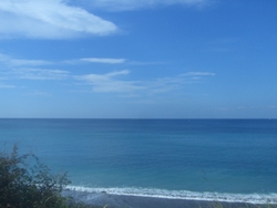 20091007-CIMG4626.JPG